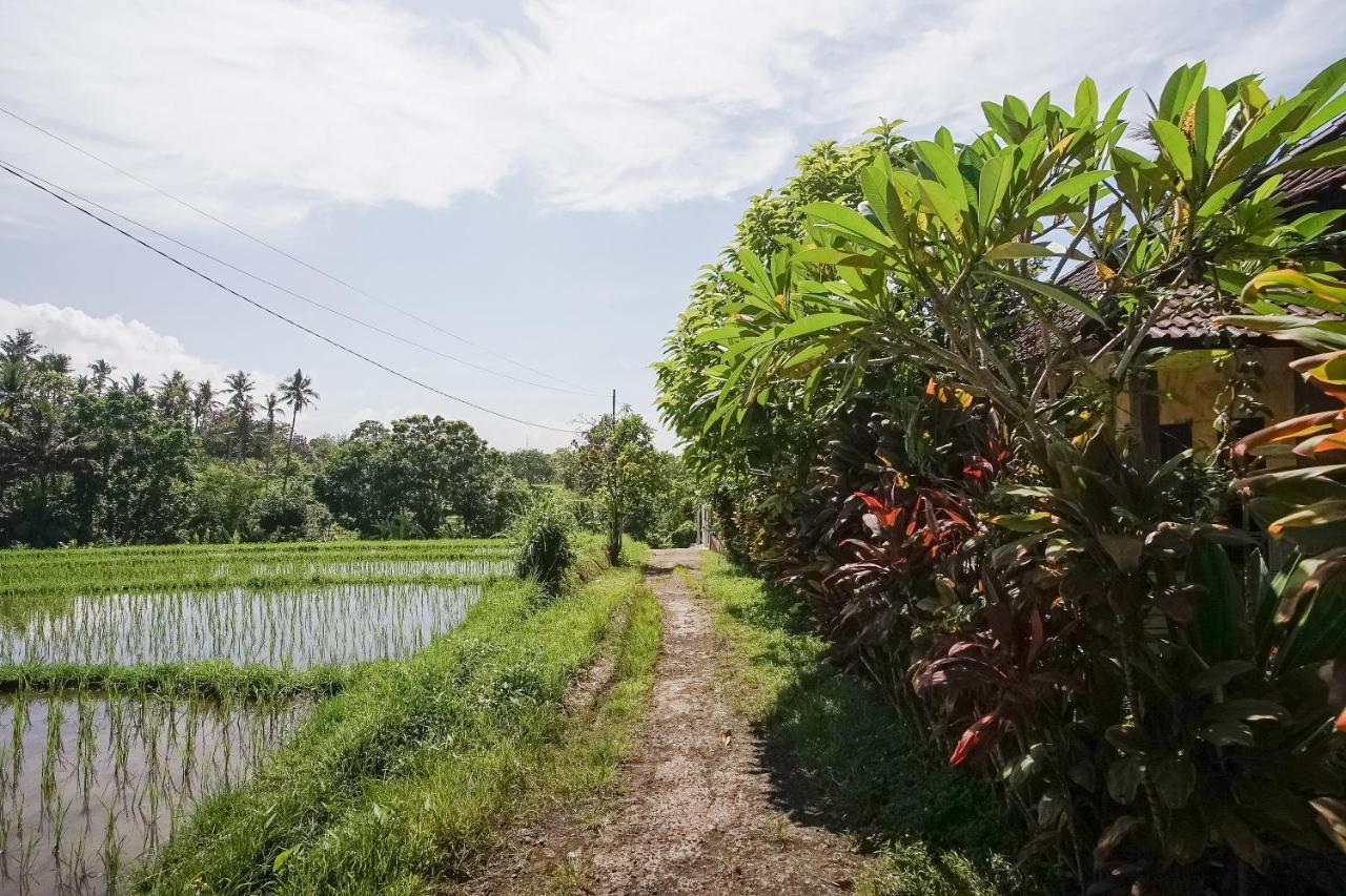 Mejan Home Stay Balian Ngoại thất bức ảnh