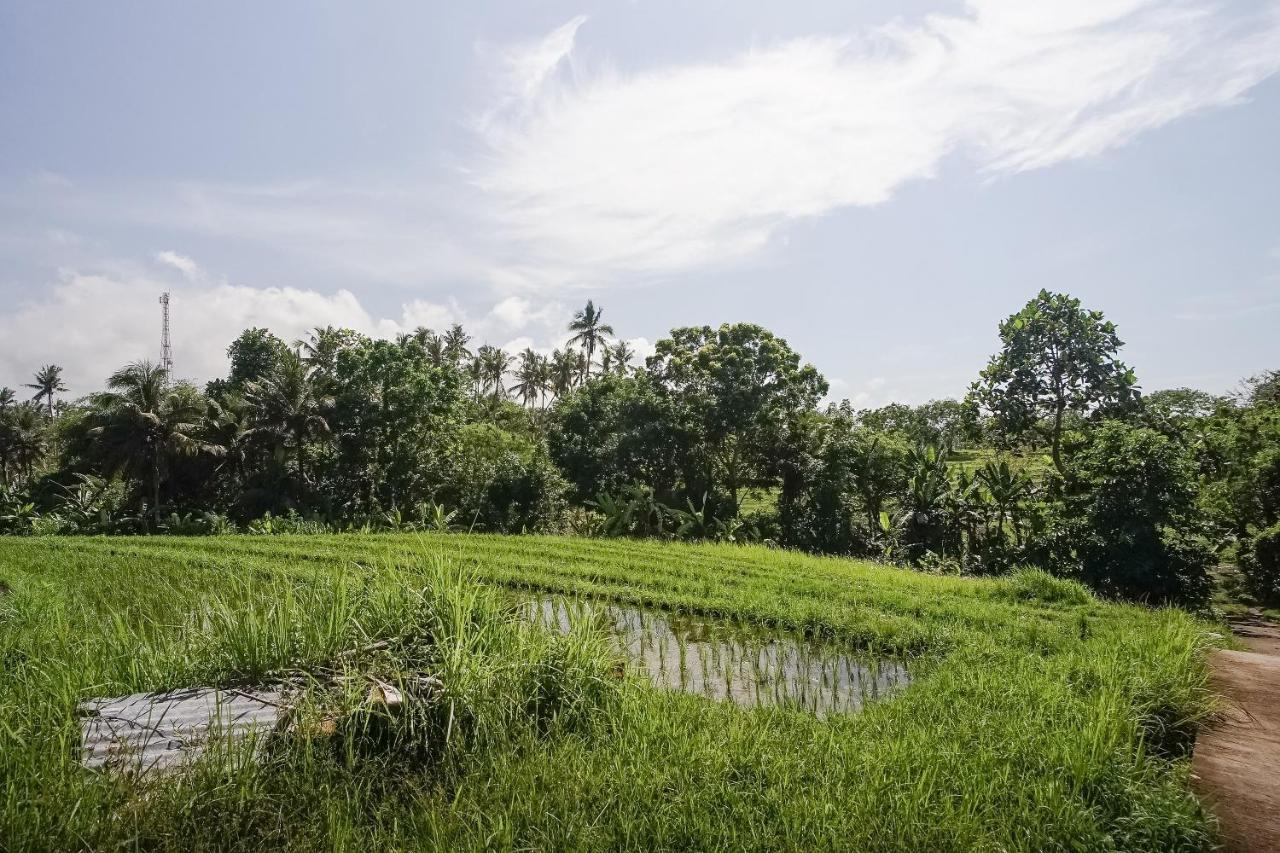 Mejan Home Stay Balian Ngoại thất bức ảnh